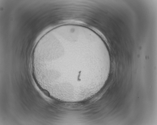 X0000082691391200702232153