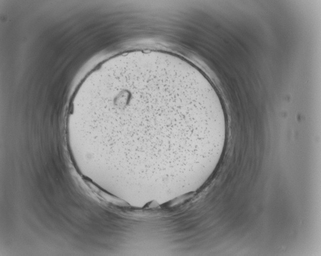 X0000082691392200702232153