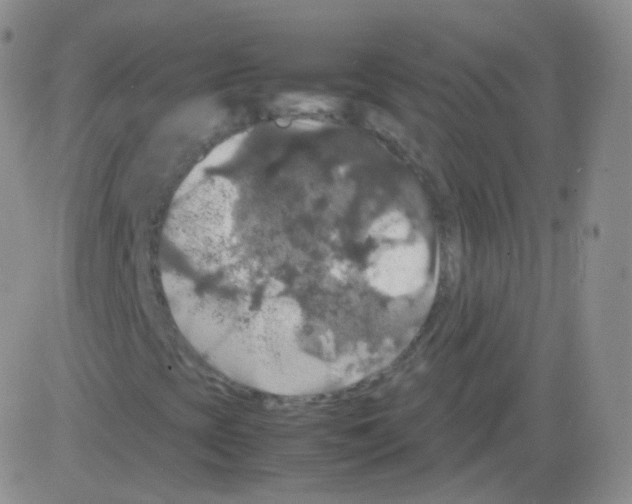 X0000082691393200702232152