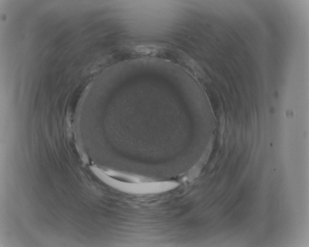 X0000082691394200702232152