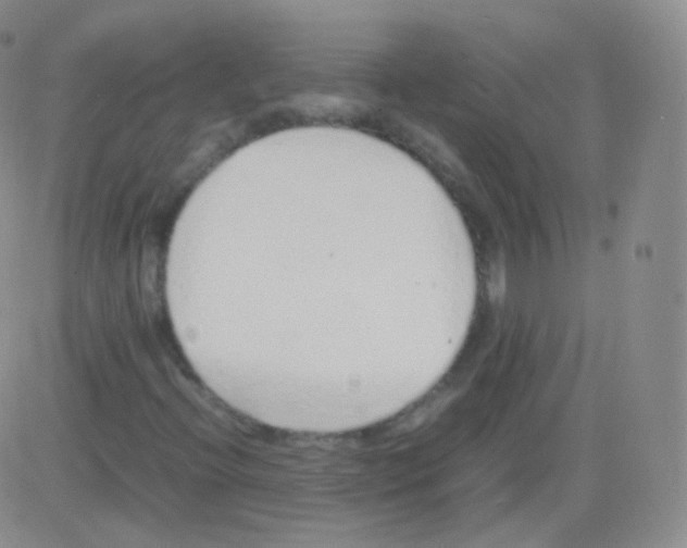 X0000082691396200702232152