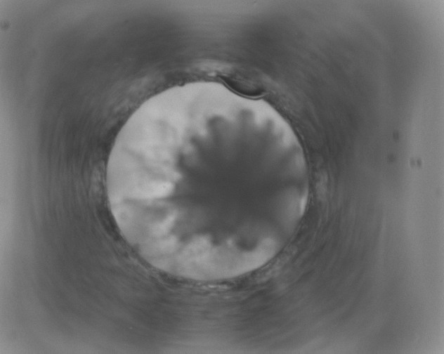 X0000082691397200702232152