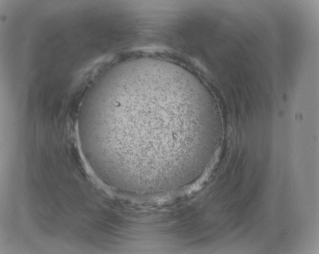 X0000082691398200702232152