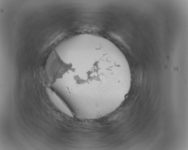 X0000082691399200702232152