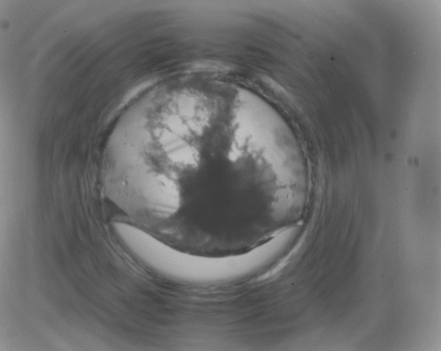 X0000082691401200702232152