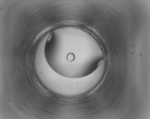 X0000082691402200702232152