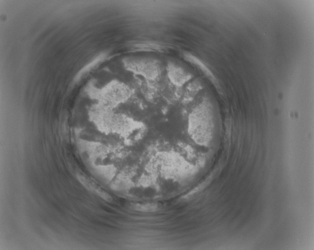 X0000082691403200702232152