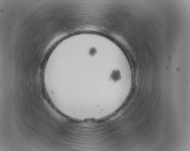 X0000082691404200702232152