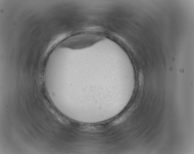 X0000082691405200702232152