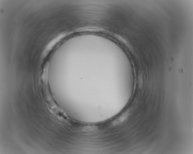 X0000082691406200702232152