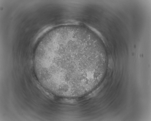 X0000082691407200702232152