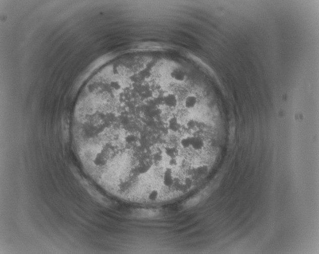 X0000082691409200702232152