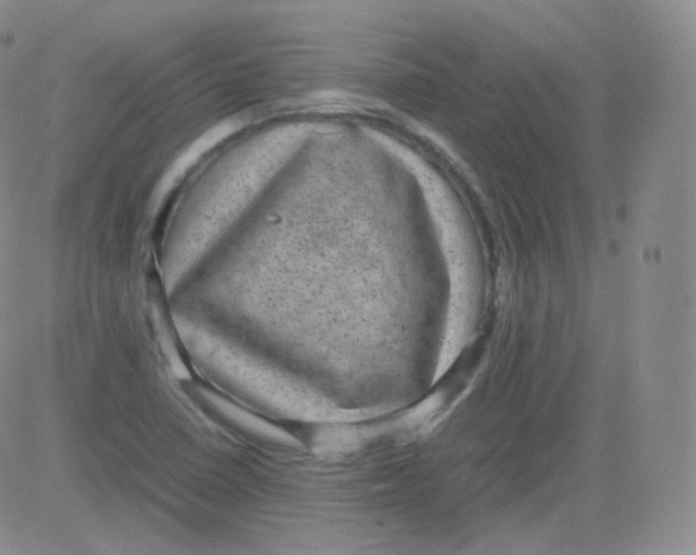 X0000082691410200702232152