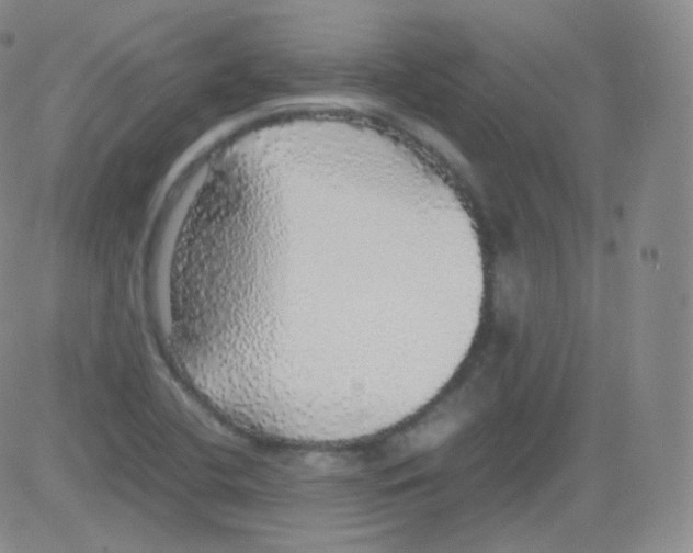 X0000082691412200702232152