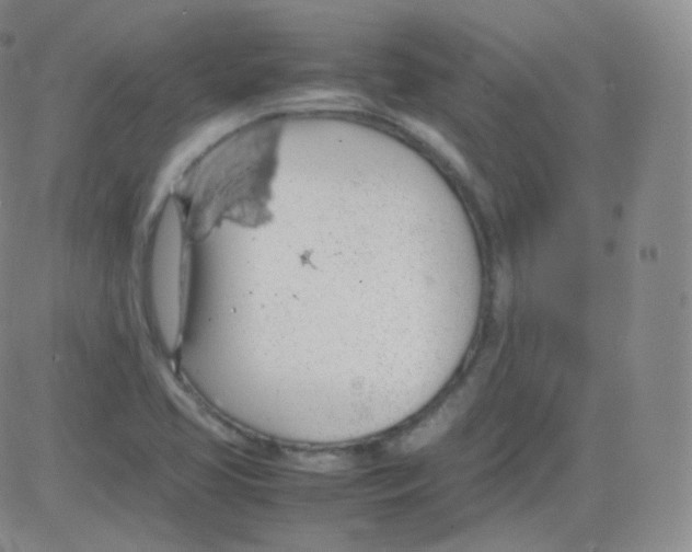 X0000082691413200702232152