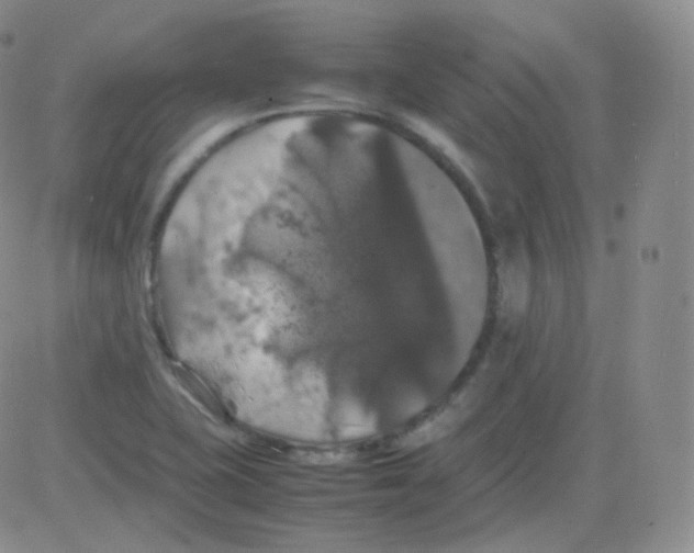 X0000082691415200702232152