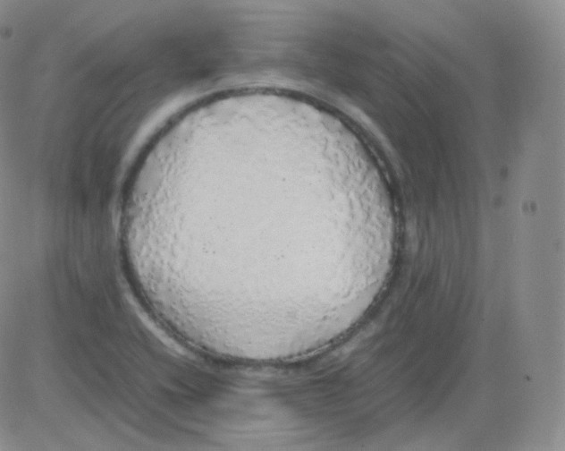 X0000082691416200702232152