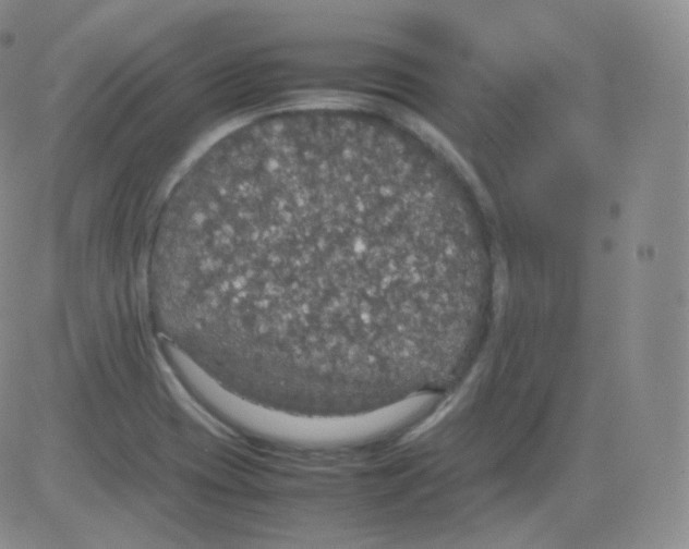 X0000082691417200702232152