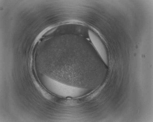 X0000082691418200702232152