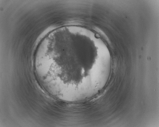 X0000082691419200702232152