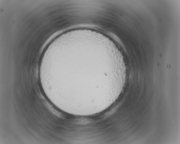 X0000082691420200702232152