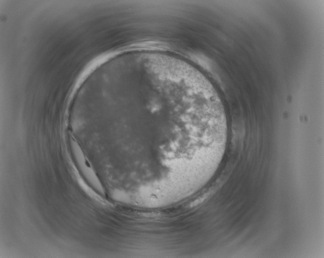 X0000082691421200702232152