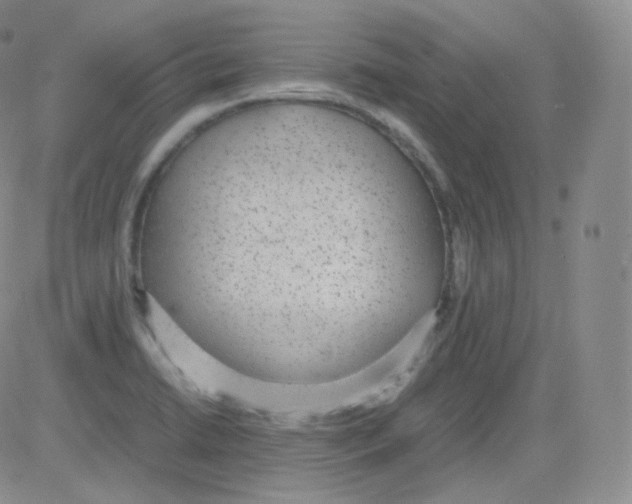 X0000082691422200702232152