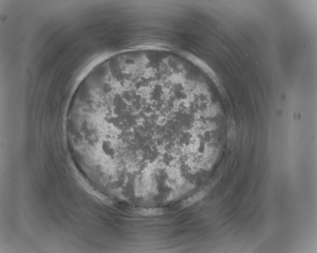 X0000082691423200702232152