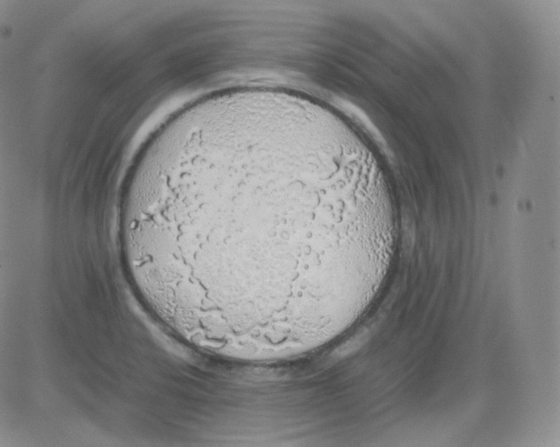 X0000082691424200702232152