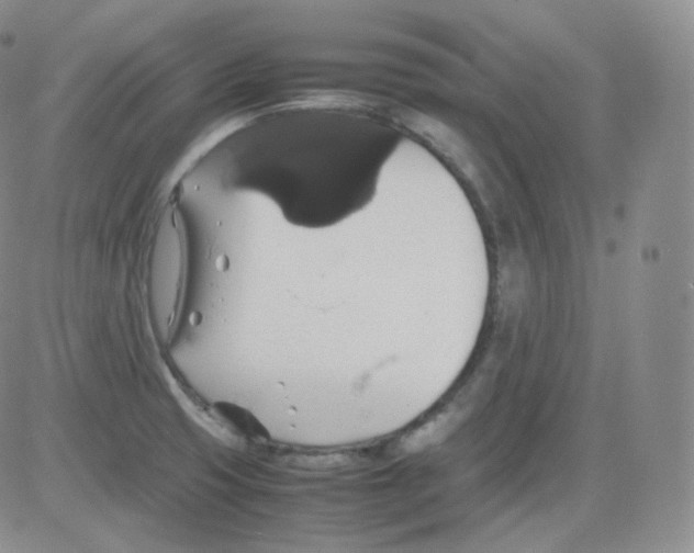 X0000082691425200702232152