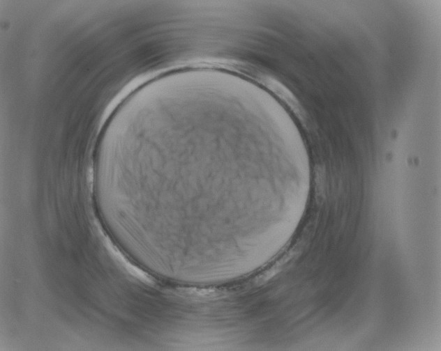 X0000082691428200702232153