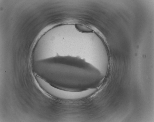 X0000082691429200702232153