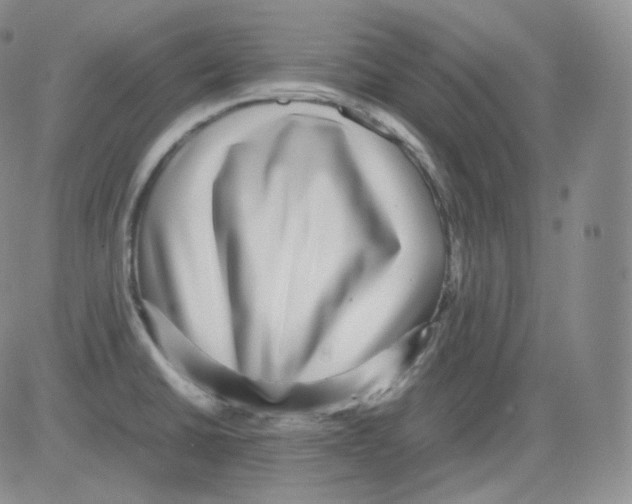 X0000082691430200702232153