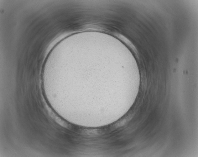 X0000082691431200702232153