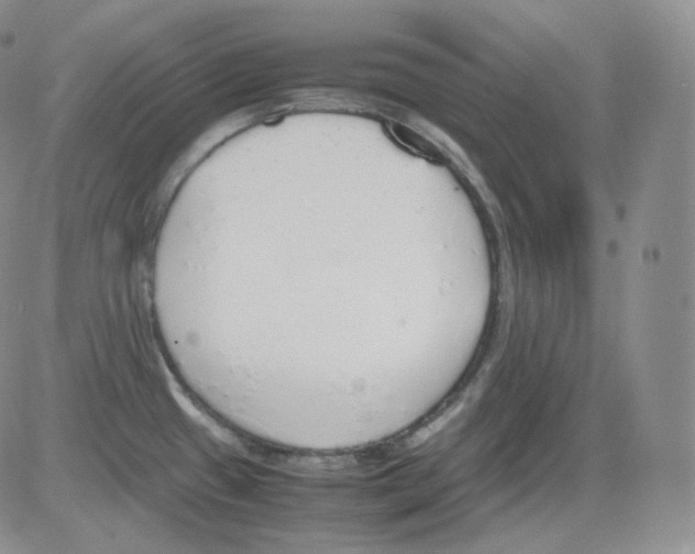 X0000082691433200702232153