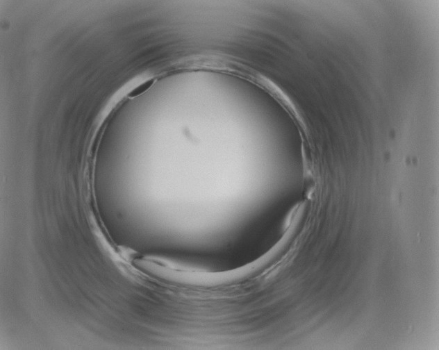 X0000082691434200702232153