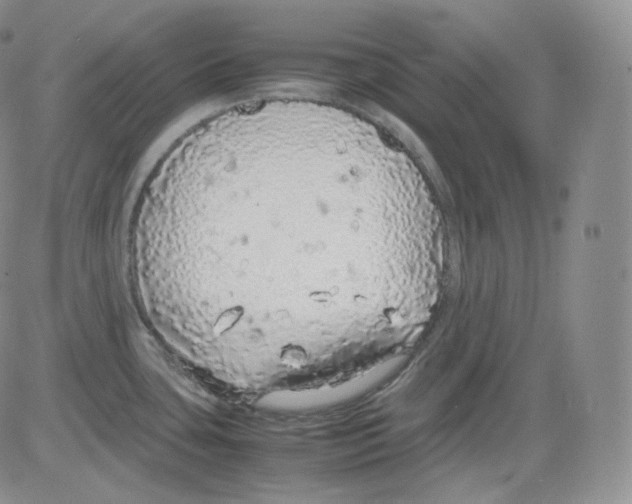 X0000082691435200702232153