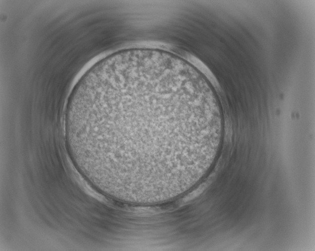 X0000082691436200702232153