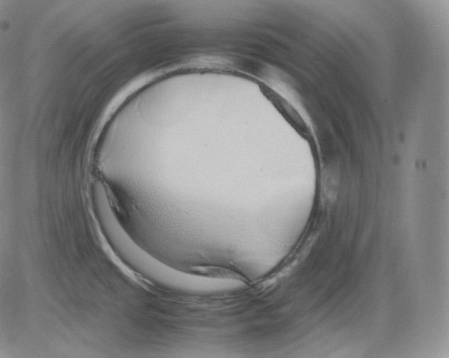 X0000082691437200702232153