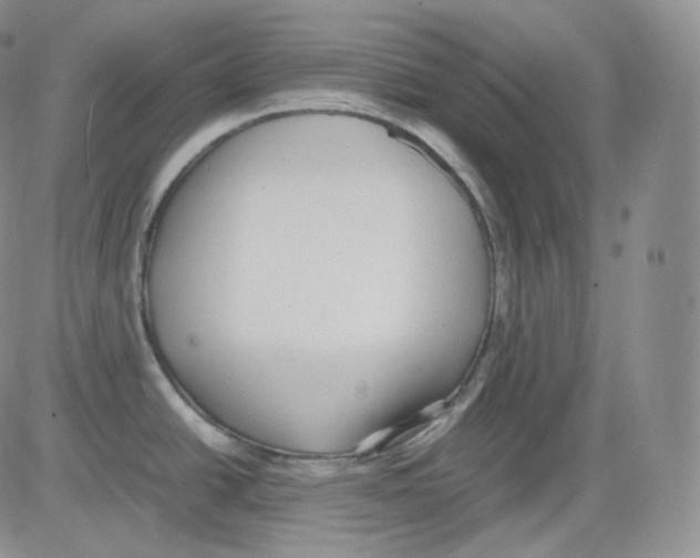 X0000082691438200702232153