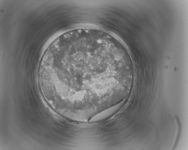 X0000082691440200702232153