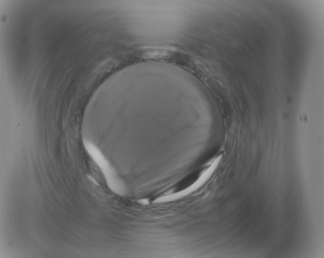 X0000082691441200702232152