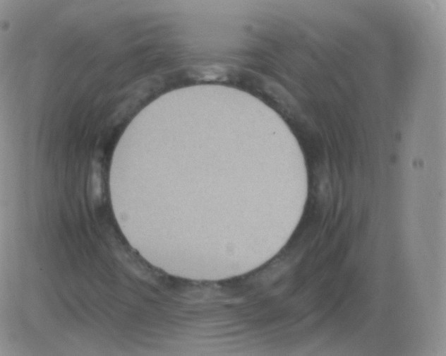 X0000082691442200702232152