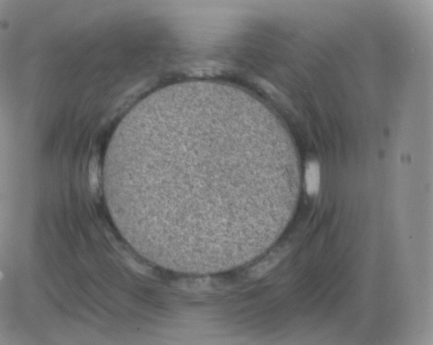 X0000082691444200702232152