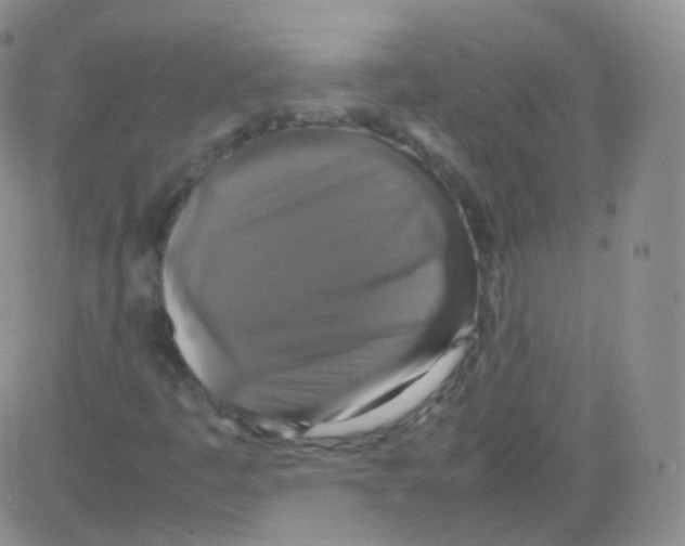 X0000082691445200702232152