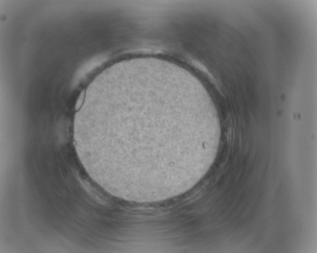 X0000082691448200702232152