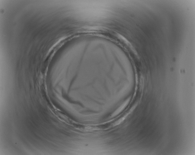 X0000082691449200702232152