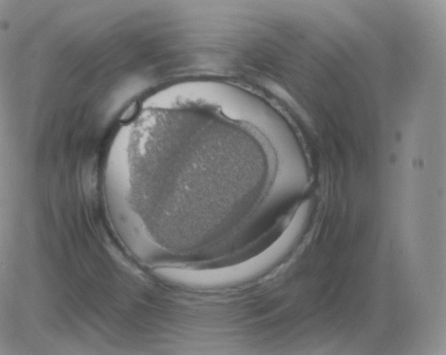 X0000082691450200702232152