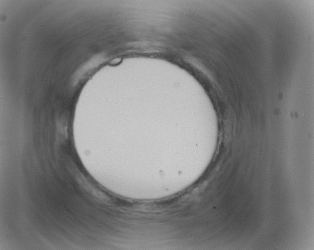 X0000082691451200702232152