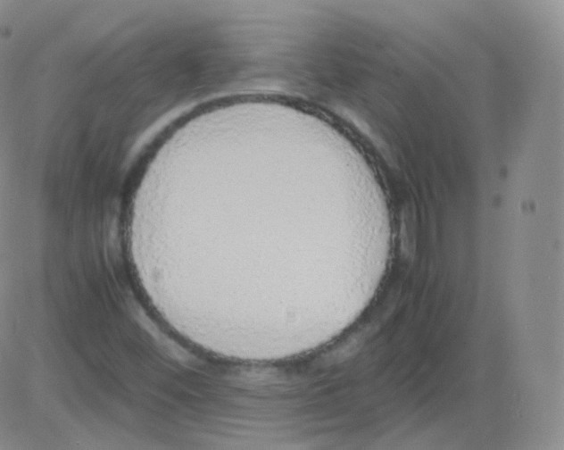 X0000082691452200702232152